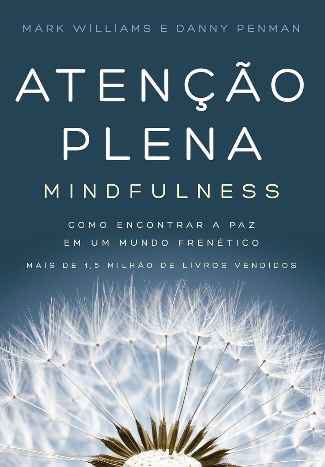 Atenção plena (Mindfulness): Como encontrar a paz em um mundo frenético