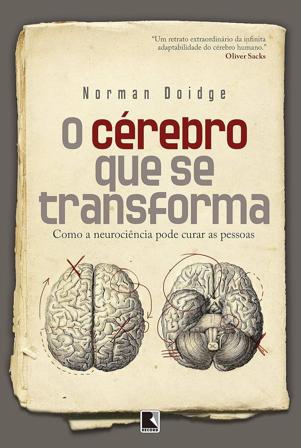 O cérebro que se transforma: Como a neurociência pode curar as pessoas